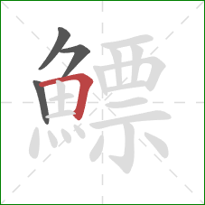 鰾的笔顺第4画:横折 鰾的笔顺第4画:横折