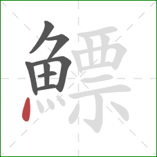 鰾的笔顺第8画:点 鰾的笔顺第8画:点