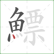 鰾的笔顺第9画:点 鰾的笔顺第9画:点