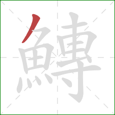 鱄的笔顺第1画：撇