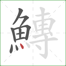 鱄的笔顺第10画：点