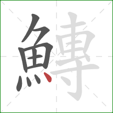 鱄的笔顺第11画：点