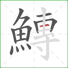 鱄的笔顺第15画：横