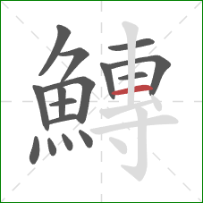 鱄的笔顺第16画：横