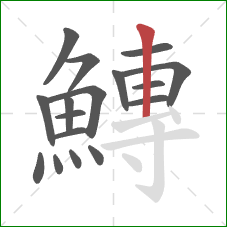 鱄的笔顺第17画：竖