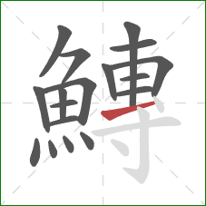 鱄的笔顺第18画：横