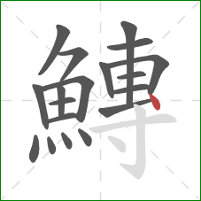 鱄的笔顺第19画：点