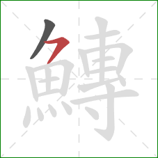 鱄的笔顺第2画：横撇