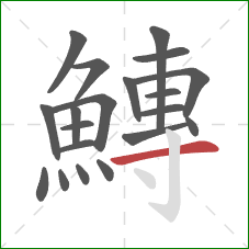 鱄的笔顺第20画：横