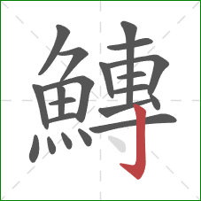 鱄的笔顺第21画：竖钩