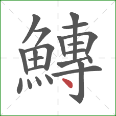 鱄的笔顺第22画：点