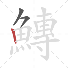 鱄的笔顺第3画：竖