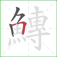 鱄的笔顺第4画：横折