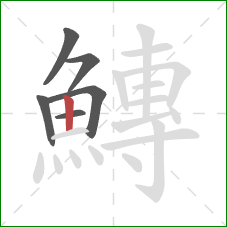 鱄的笔顺第6画：竖