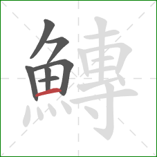 鱄的笔顺第7画：横