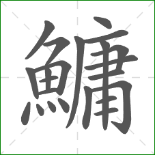 鱅的部首 鱅的部首