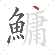 鱅的笔顺第12画:点 鱅的笔顺第12画:点