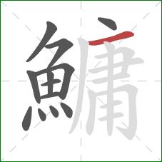 鱅的笔顺第13画:横 鱅的笔顺第13画:横