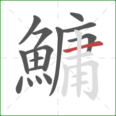 鱅的笔顺第16画:横 鱅的笔顺第16画:横