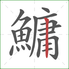 鱅的笔顺第22画:竖 鱅的笔顺第22画:竖