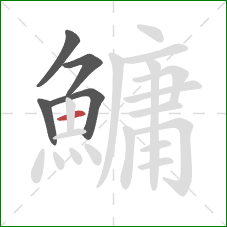 鱅的笔顺第5画:横 鱅的笔顺第5画:横