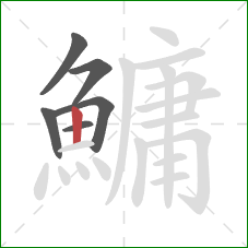 鱅的笔顺第6画:竖 鱅的笔顺第6画:竖