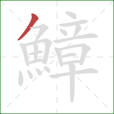 鱆的笔顺第1画:撇 鱆的笔顺第1画:撇