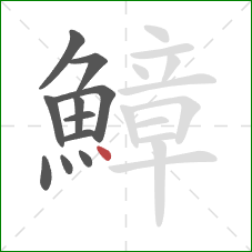 鱆的笔顺第11画:点 鱆的笔顺第11画:点