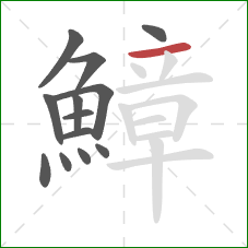 鱆的笔顺第13画:横 鱆的笔顺第13画:横