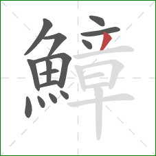鱆的笔顺第15画:撇 鱆的笔顺第15画:撇