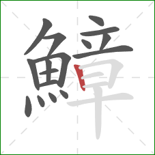 鱆的笔顺第17画:竖 鱆的笔顺第17画:竖