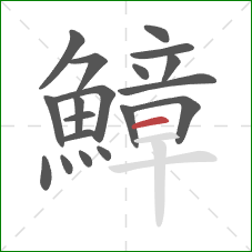 鱆的笔顺第19画:横 鱆的笔顺第19画:横