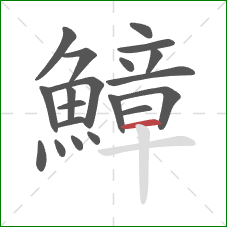 鱆的笔顺第20画:横 鱆的笔顺第20画:横