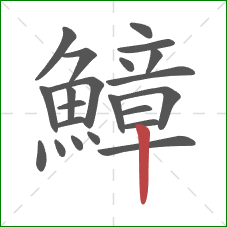 鱆的笔顺第22画:竖 鱆的笔顺第22画:竖
