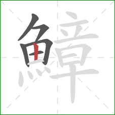 鱆的笔顺第6画:竖 鱆的笔顺第6画:竖