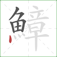 鱆的笔顺第8画:点 鱆的笔顺第8画:点