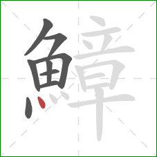 鱆的笔顺第9画:点 鱆的笔顺第9画:点