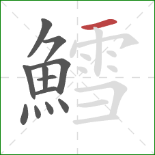 鱈的笔顺第12画:横 鱈的笔顺第12画:横