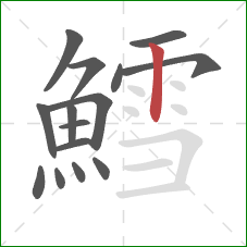 鱈的笔顺第15画:竖 鱈的笔顺第15画:竖