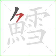 鱈的笔顺第2画:横撇 鱈的笔顺第2画:横撇