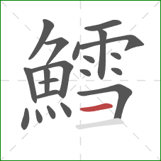 鱈的笔顺第21画:横 鱈的笔顺第21画:横