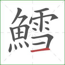 鱈的笔顺第22画:横 鱈的笔顺第22画:横