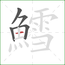 鱈的笔顺第5画:横 鱈的笔顺第5画:横