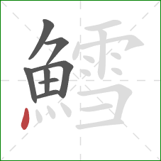 鱈的笔顺第8画:点 鱈的笔顺第8画:点