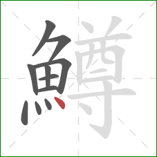 鱒的笔顺第11画:点 鱒的笔顺第11画:点