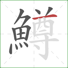 鱒的笔顺第14画:横 鱒的笔顺第14画:横