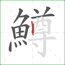 鱒的笔顺第15画:竖 鱒的笔顺第15画:竖