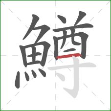 鱒的笔顺第20画:横 鱒的笔顺第20画:横