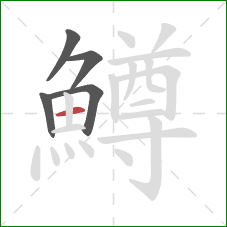 鱒的笔顺第5画:横 鱒的笔顺第5画:横