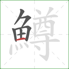 鱒的笔顺第7画:横 鱒的笔顺第7画:横